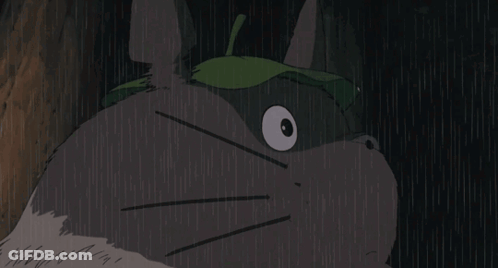 Rainy Green Leaf Cat GIF