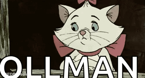 A Cartoon Cat With A Pink Bow And The Word Ollman Behind It GIF