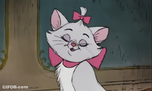A Cartoon Cat With A Pink Bow On Its Head GIF