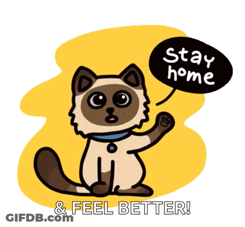 A Cartoon Cat With A Speech Bubble Saying Stay Home And Feel Better GIF