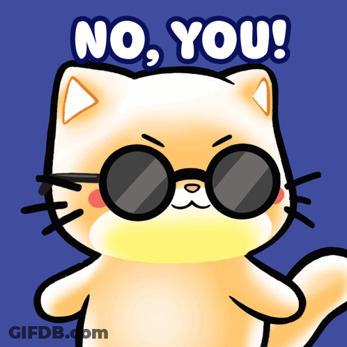A Cartoon Cat With Sunglasses And The Words No You GIF