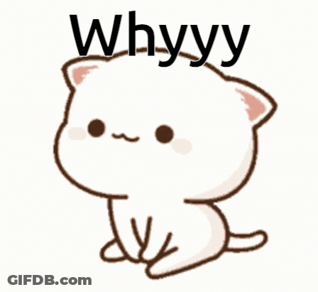 A Cartoon Cat With The Word Whyyy Written On It GIF