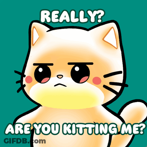 A Cartoon Cat With The Words " Really Are You Kitting Me " Below It GIF