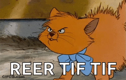 A Cartoon Cat With The Words Reer Tif Tif Written Below It GIF