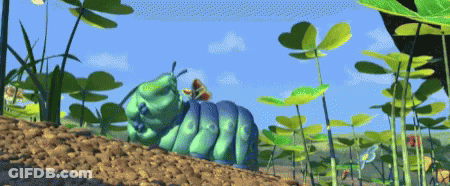 A Cartoon Caterpillar Is Crawling Through A Field Of Plants GIF