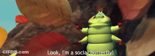 A Cartoon Caterpillar Is Standing In A Cave And Says `` Look , I 'M A Social Butterfly ! '' GIF