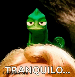 A Cartoon Chameleon Is Sitting On Top Of A Woman 'S Head And Says Tranquilo . GIF