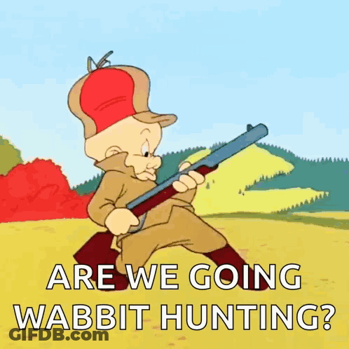 A Cartoon Character Is Holding A Shotgun And Says " Are We Going Wabbit Hunting " GIF
