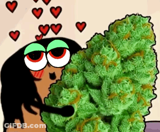 A Cartoon Character Is Hugging A Large Marijuana Bud GIF