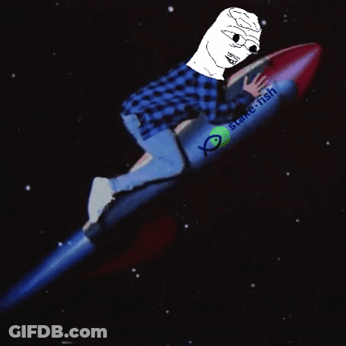 A Cartoon Character Is Riding A Rocket That Says Stake Fish GIF