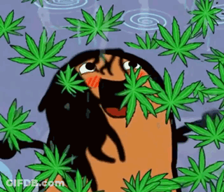 A Cartoon Character Is Surrounded By Marijuana Leaves And Water Drops . GIF