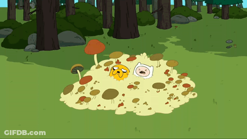 A Cartoon Character Named Jake And Finn Are Laying In A Pile Of Mushrooms GIF