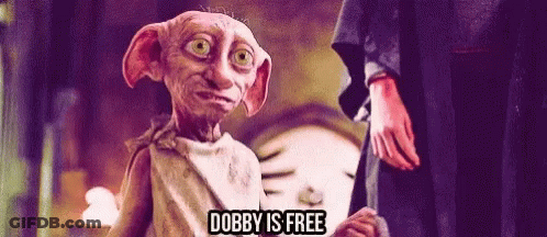 A Cartoon Character Says Dobby Is Free While Standing Next To A Man GIF