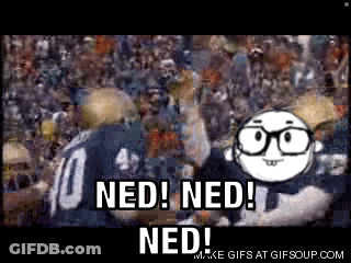 A Cartoon Character Says Ned Ned Ned In Front Of A Crowd Of People GIF