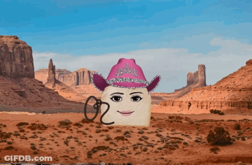 A Cartoon Character Wearing A Pink Cowboy Hat With The Number 20 On It GIF