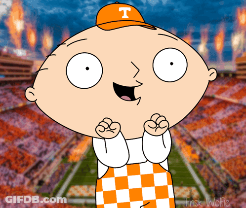 A Cartoon Character Wearing An Orange Hat With T On It GIF