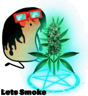 A Cartoon Character With Glasses And A Marijuana Plant With The Words Lets Smoke Below It GIF