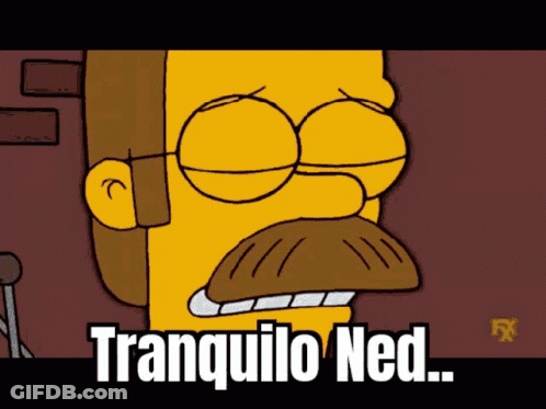 A Cartoon Character With Glasses And A Mustache Says Tranquilo Ned On The Bottom GIF