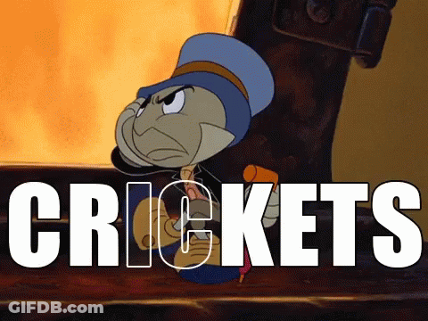 A Cartoon Character With The Word Crickets Written Below Him GIF