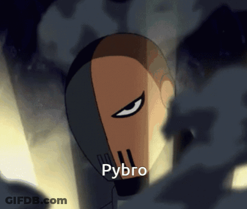 A Cartoon Character With The Word Pybro On The Bottom Right GIF