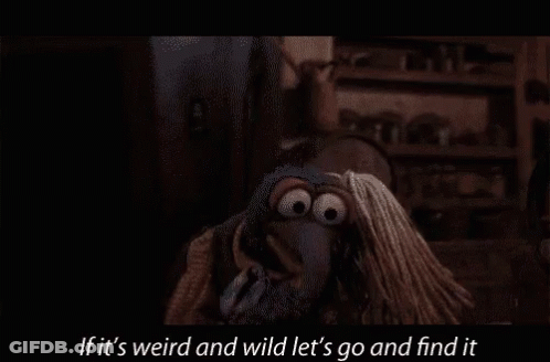 A Cartoon Character With The Words If It 'S Weird And Wild Let 'S Go And Find It GIF