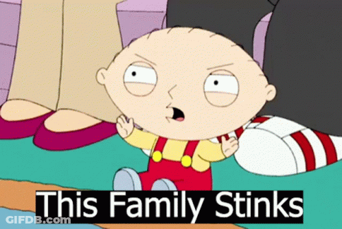 A Cartoon Character With The Words This Family Stinks On The Bottom GIF