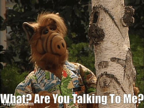 A Cartoon Character With The Words What Are You Talking To Me Below Him GIF