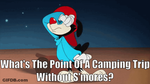 A Cartoon Character With The Words " What 'S The Point Of A Camping Trip Without S'mores " GIF