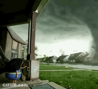 A Cartoon Chicken Is Standing On A Porch Watching A Tornado GIF