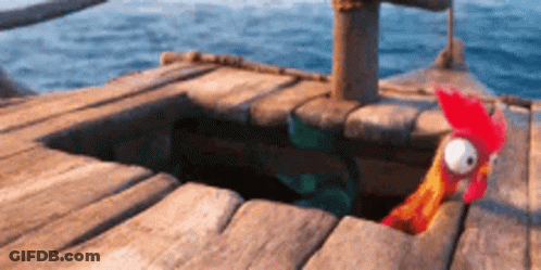 A Cartoon Chicken Is Sticking Its Head Out Of A Hole In A Wooden Dock . GIF