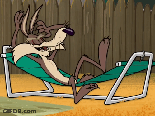 A Cartoon Coyote Laying In A Hammock With His Eyes Closed GIF
