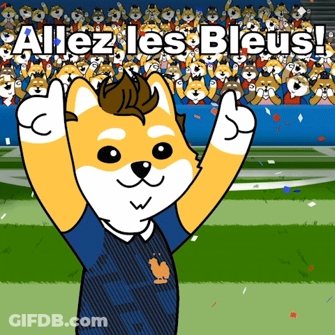 A Cartoon Dog Giving A Thumbs Up With The Words Allez Les Bleus Behind Him GIF
