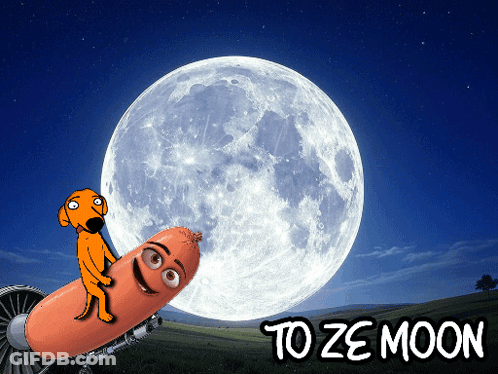 A Cartoon Dog Is Riding A Sausage In Front Of The Moon GIF