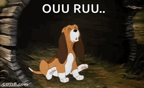 A Cartoon Dog Is Sitting In A Cave With The Words " Ouu Ruu " Written Above It GIF