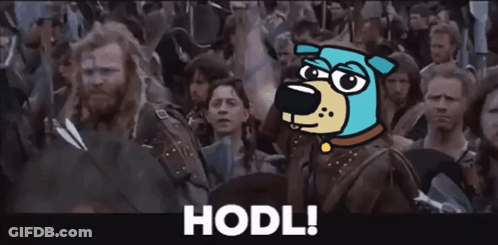 A Cartoon Dog Is Standing In Front Of A Crowd With The Word Hodl Written On The Bottom GIF