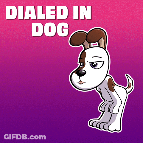 A Cartoon Dog Is Standing In Front Of A Pink And Purple Background That Says Dialed In Dog GIF