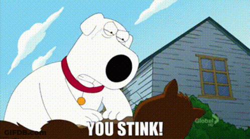 A Cartoon Dog Is Standing Next To A Cat And Saying You Stink ! GIF