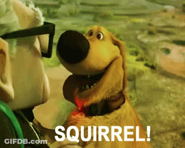 A Cartoon Dog Says Squirrel To A Man In Glasses GIF