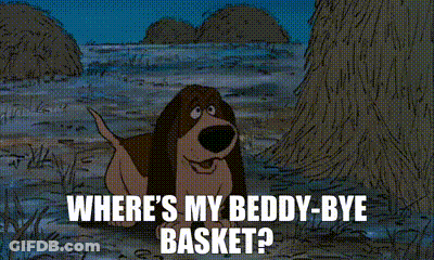 A Cartoon Dog Says Where 'S My Beddy Bye Basket GIF