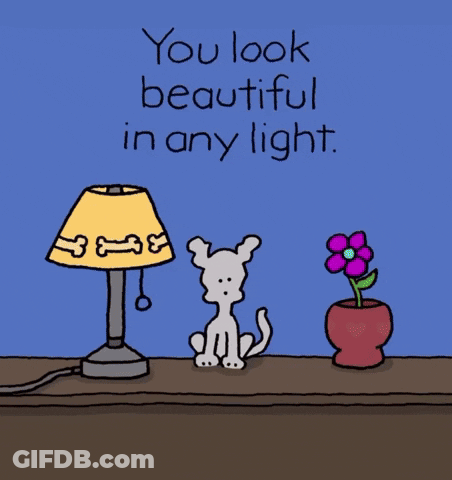 A Cartoon Dog Standing Next To A Lamp With The Words " You Look Beautiful In Any Light " GIF