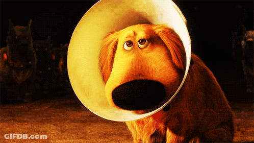 A Cartoon Dog Wearing A Cone Around His Neck GIF