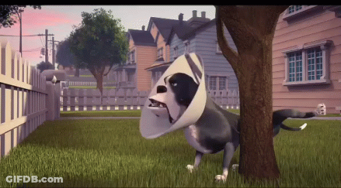 A Cartoon Dog Wearing A Cone Around Its Neck Is Standing Next To A Tree GIF