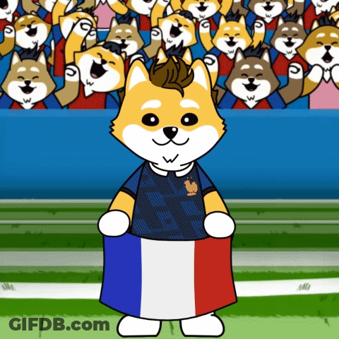 A Cartoon Dog Wearing A French Jersey Holds A French Flag GIF