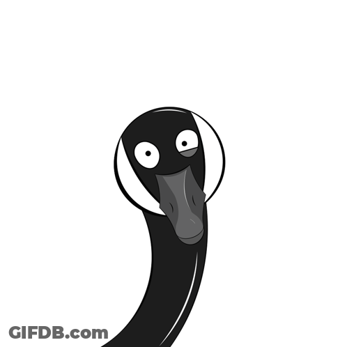 A Cartoon Drawing Of A Black Swan With A White Beak GIF