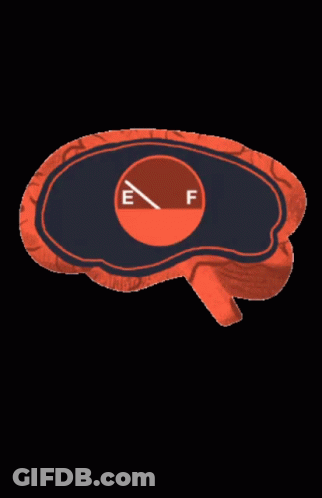 Brain Drawing With E And F Letters GIF