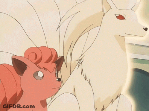Cartoon Cat And Dog Drawing GIF