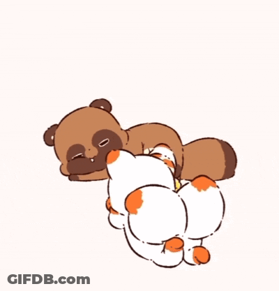 A Cartoon Drawing Of A Cat And A Raccoon GIF