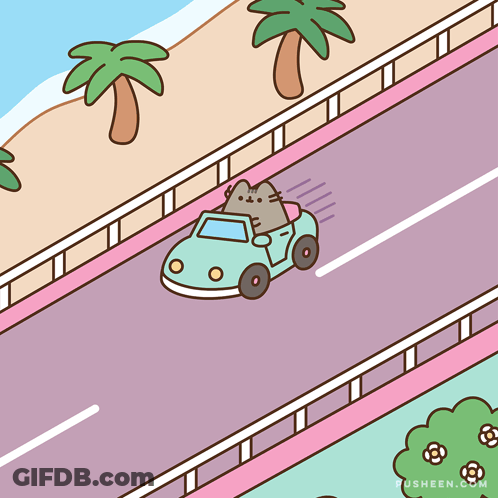 A Cartoon Drawing Of A Cat Driving A Car With Pusheen.com Written Below It GIF