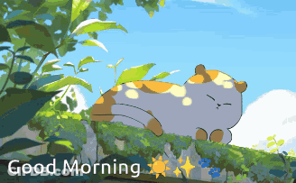 Cat Lying On Rock Good Morning GIF