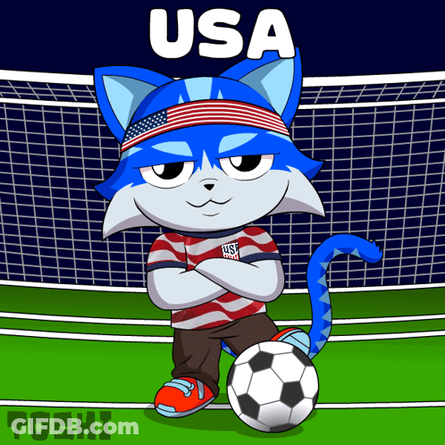 A Cartoon Drawing Of A Cat Wearing An Usa Shirt GIF
